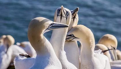 kaiyun中国官方网站-年轻车坛新星：梦想之路的辛酸与坚持