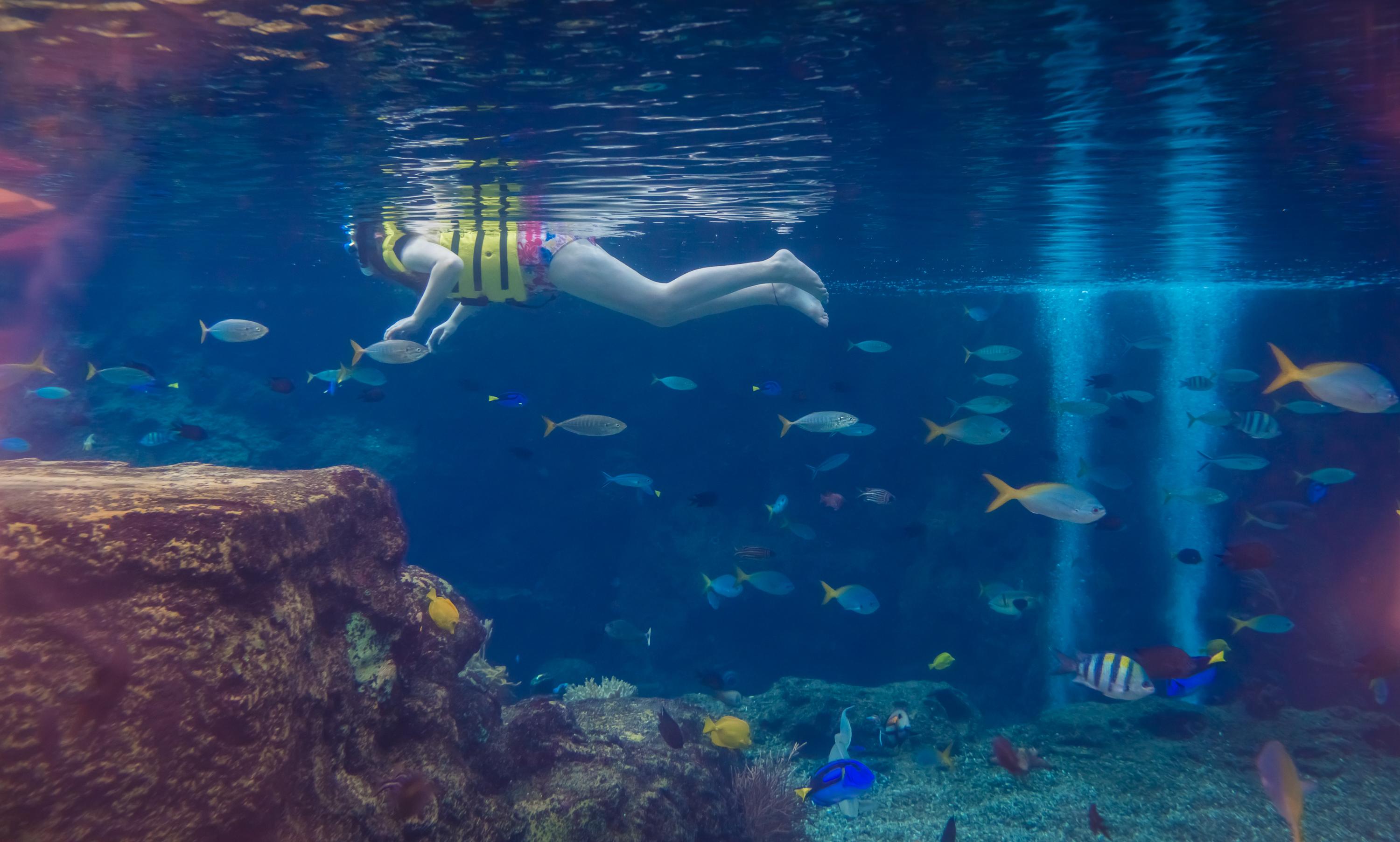 开云网站-水下浮潜体验活动，探索海底世界奇观