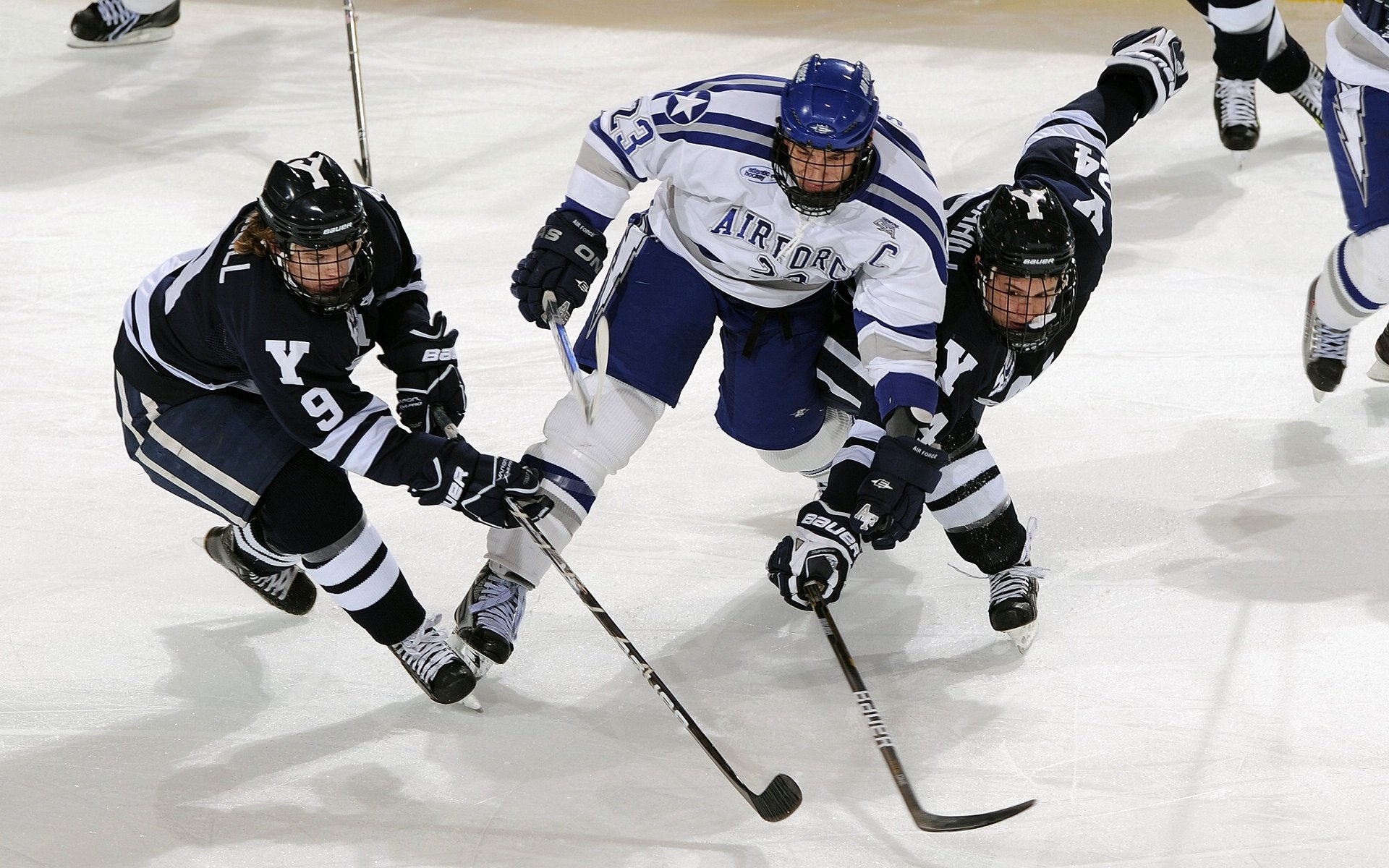 石油人新赛季开局强劲,石油人石油魂
